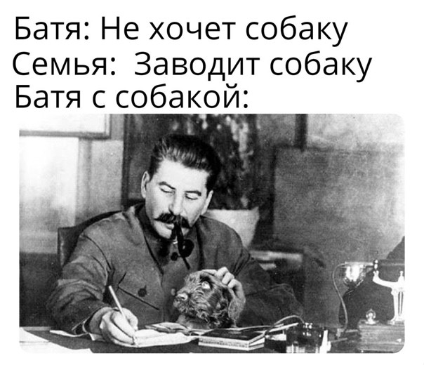 Create meme: Dad doesn't want a dog meme, Joseph Stalin , Vladimir Ilyich Lenin 