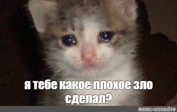 Создать мем: грустный котик мем, грустный котик мем со слезами, кот плачет