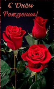 Создать мем: красные розы, с днем рождения, розы