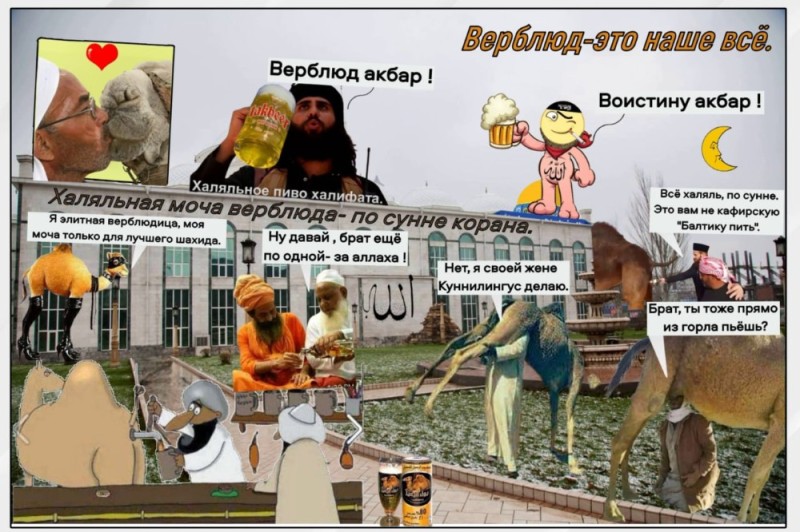 Создать мем: исламские страны, мусульманские мемы, моча верблюда