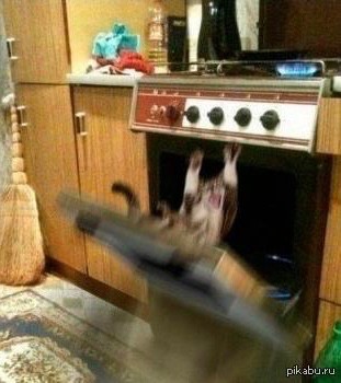 Create meme: cat , the cat in the oven, clear jokes