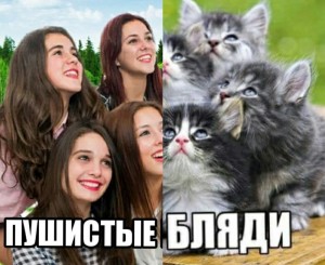 Создать мем: кошечка, прикольный влюбленный котик, котенок смешно