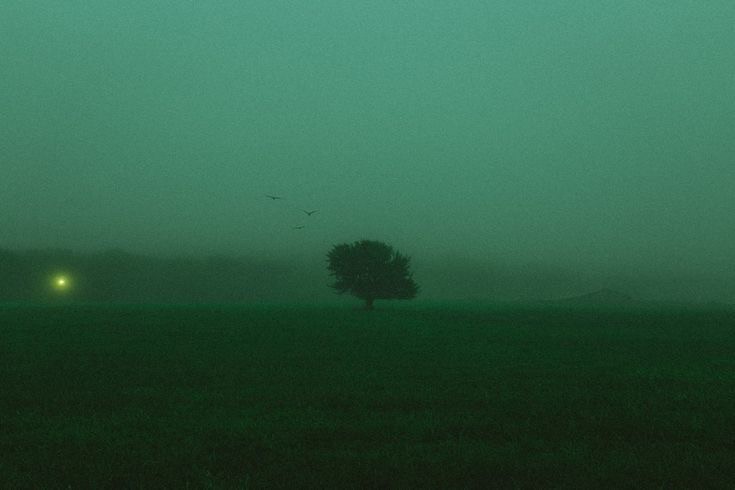 Create meme: nature , darkness, green fog