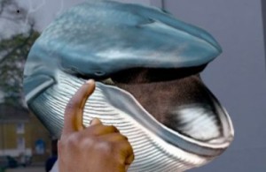 Create meme: megamouth shark, blue whale, the blue whale