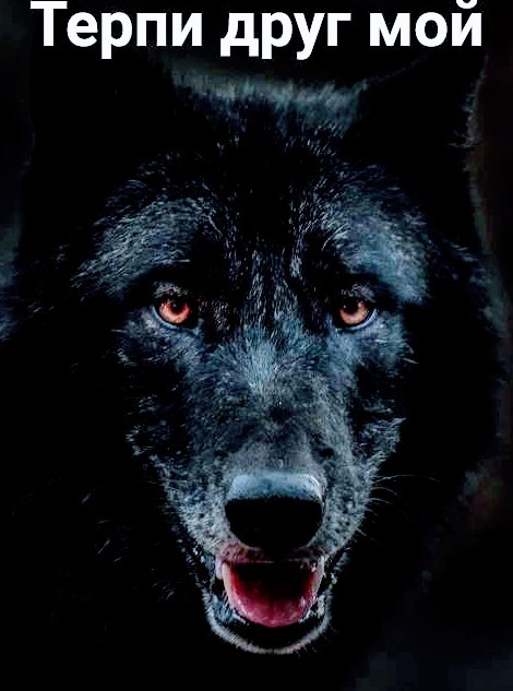 Создать мем: чёрный волк с красными глазами, волк добрый, черный волк оскал