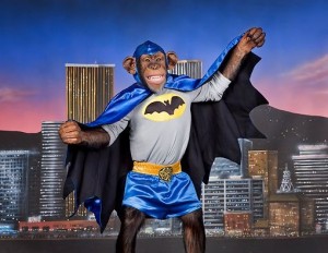 Создать мем: кевин конрой бэтмен, герои бэтмена, летающая обезьяна из бэтмена