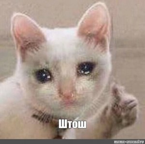 Create meme: meme cat, the cat is crying, crying cat