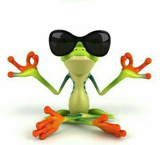 Создать мем: лягушка в солнечных очках