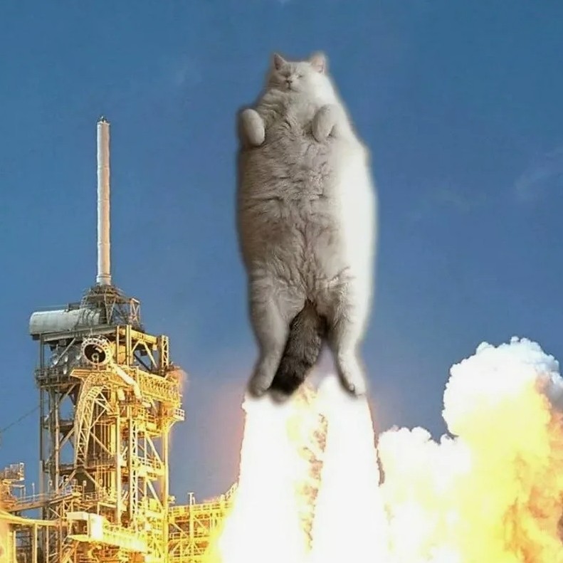 Create meme: space rockets, space cat, a cat in space
