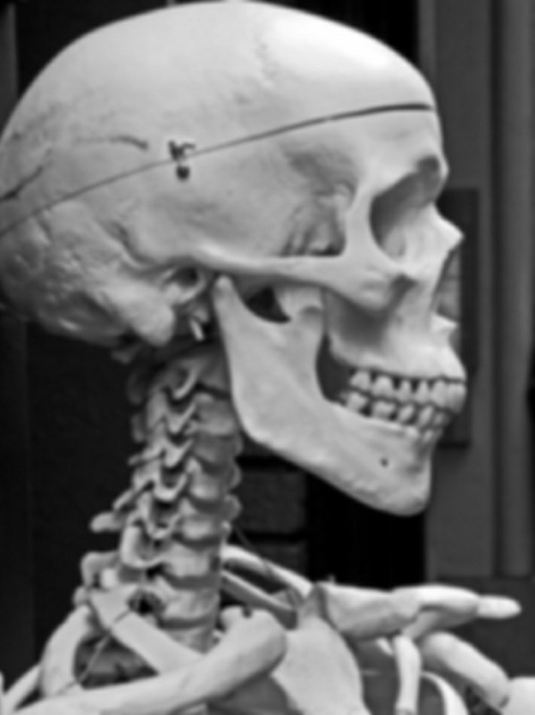 Create meme: the head is a skeleton, the human skull, skeleton skull