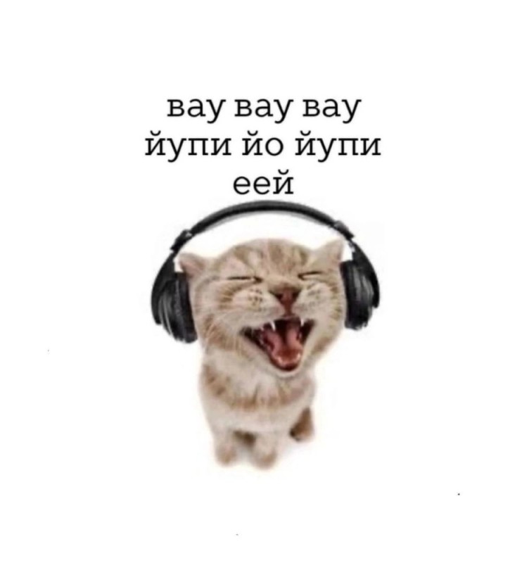 Create meme: screaming cat , funny cats , cat in headphones meme