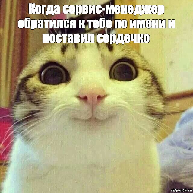 Создать мем: котик мем, кот мем, улыбающийся кот мем