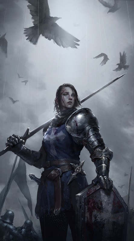 Create meme: fantasy knight girl, fantasy warrior, knight fantasy