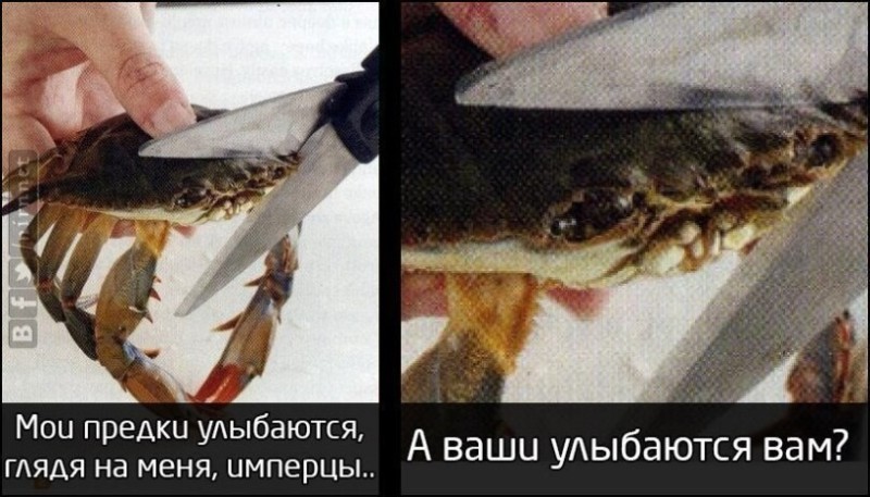 Create meme: this will kill the crab, My ancestors smile at me, the Imperials smile at you., Crab my ancestors are smiling