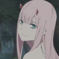 Create meme: Franks, anime, favorite in France, zero two