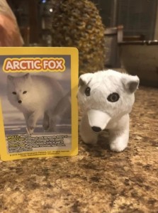 Create meme: selection, Arctic Fox, photos