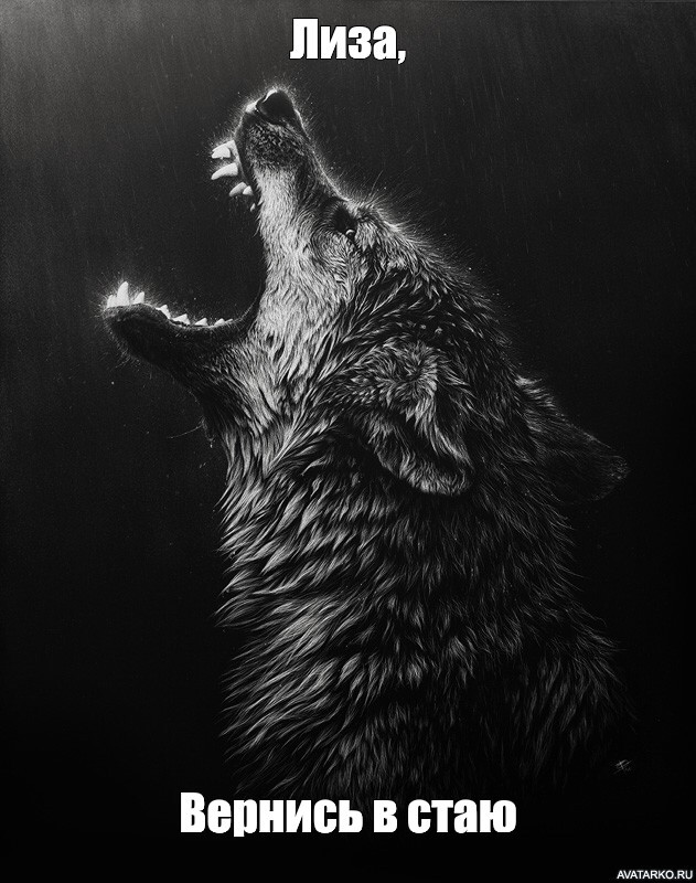 Создать мем: оскал волка, волк дух, чёрные волки
