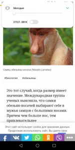 Create meme: the long-nosed monkey, funniest proboscis monkey pics, photo with comments
