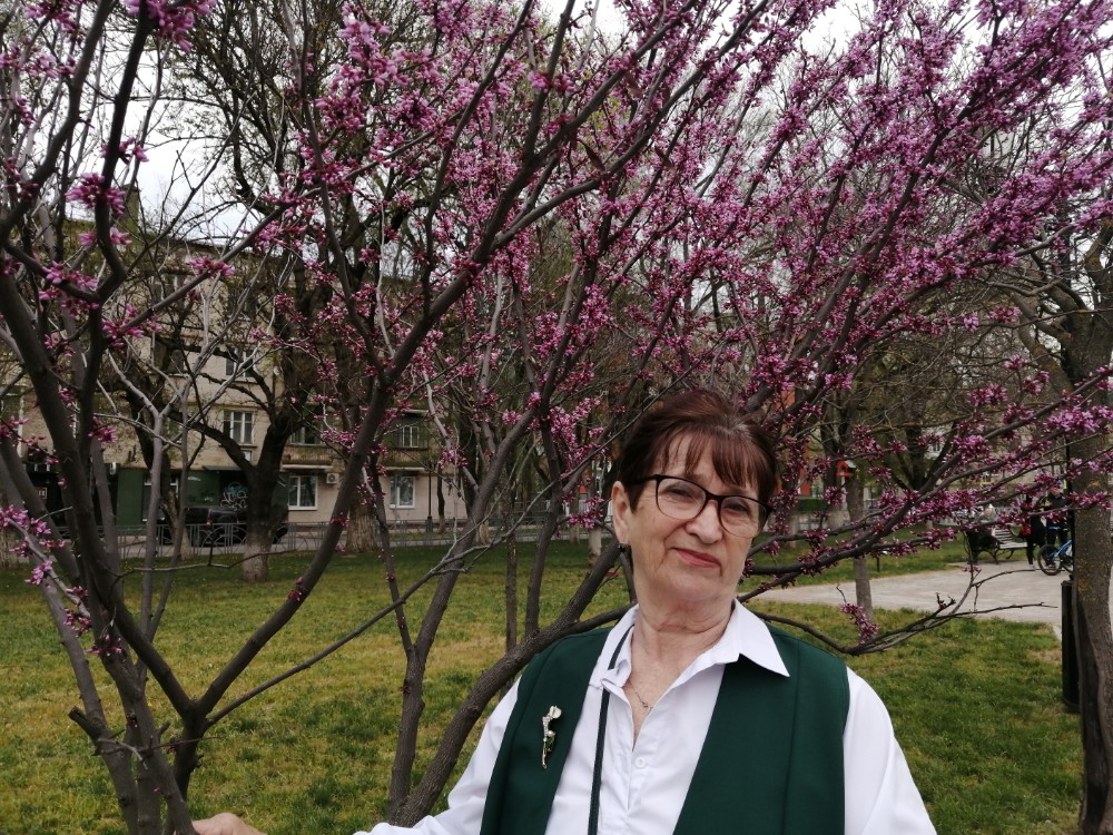 Создать мем: дерево цветет розовыми цветами весной, женщина, багрянник европейский иудино дерево