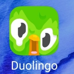 Create meme: apps on your phone, duolingo icon, duolingo memes