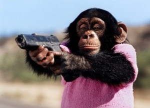 Create meme: monkeys, monkey, a monkey with a gun