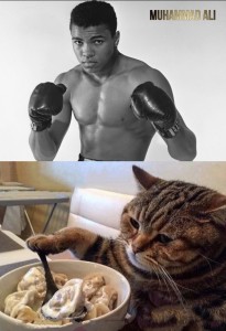 Создать мем: кот ест пельмени, мохаммед али, мухаммед али чемпион
