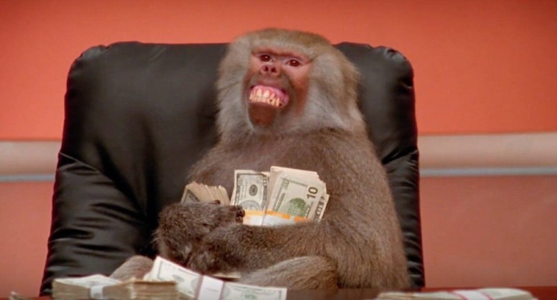 Создать мем: мартышка с деньгами, обезьяна с газетой, обезьяна в офисе