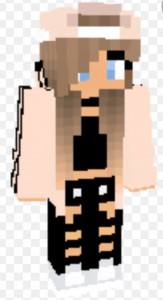 Create meme: skins for girls, skins for minecraft