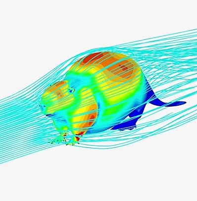 Create meme: the aerodynamics of the beaver, aerodynamics of the ansys cow, cow aerodynamics