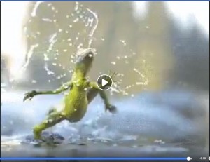 Create meme: run, the frog in the puddles GIF, sifco Friday work run