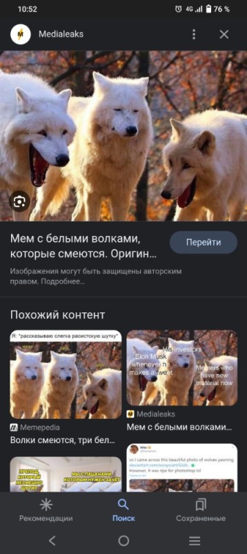 Create meme: laughing wolves, funny wolf, white polar wolf