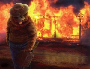 Create meme: the fireman's cat, fire , the cat in the fire