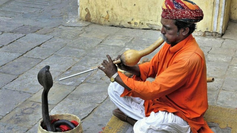 Create meme: snake charmer, tamer of snakes, snake charmers in India