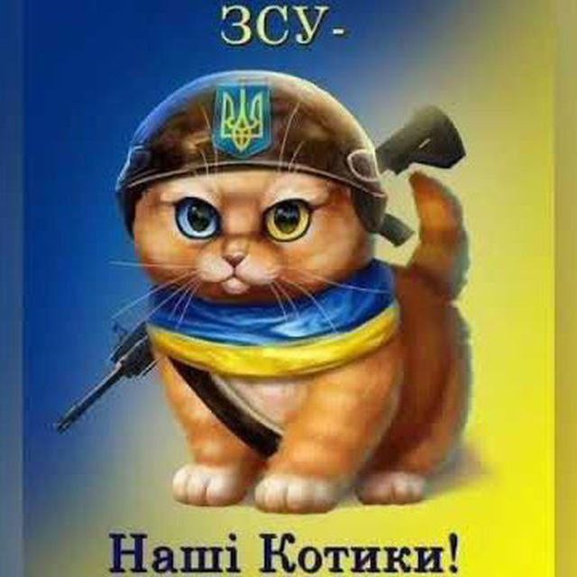 Создать мем: слава україні героям слава, кот в шлеме, прикол
