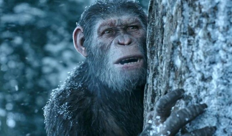 Create meme: planet of the apes caesar, conspiracy of the planet of the apes, Andy Serkis Planet of the Apes