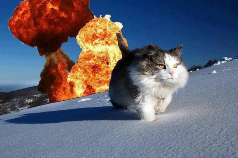 Create meme: memes with cats , the explosion , explosion meme