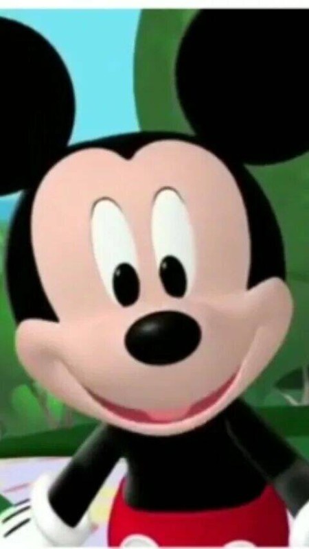 Create meme: mickey , mickey mouse clubhouse, the Mickey mouse club 