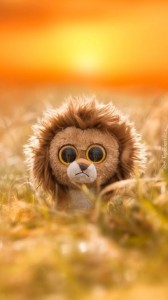 Create meme: good morning, Soft toy, sad lion cub