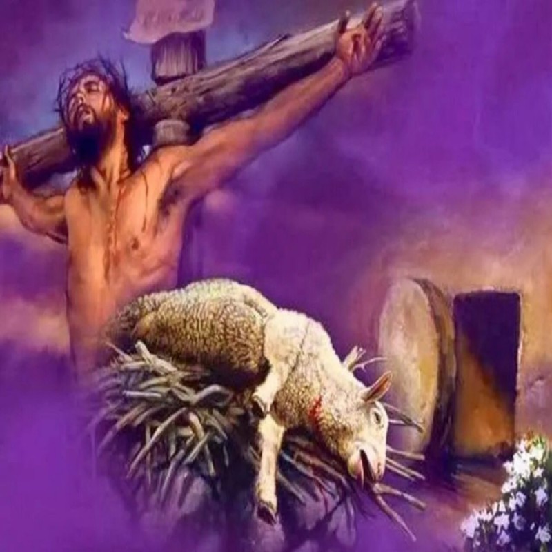 Create meme: Jesus christ with the lamb, Jesus Christ , Jesus Christ is the lamb of God