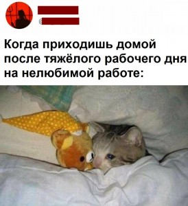 Создать мем: кошка животное, котик, милые пикчи с вопросом спишь?