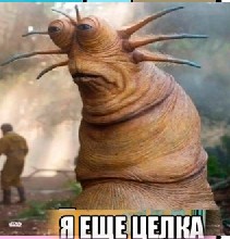 Create meme: live slug reaction meme, from star wars, star wars