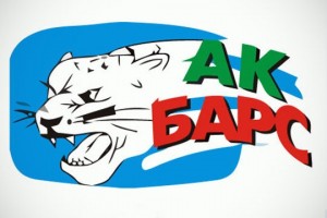 Create meme: AK bars logo, the logo of HC AK bars, the emblem of the AK bars hockey club