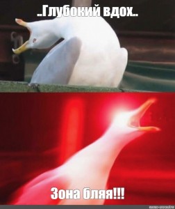 Create meme: meme Seagull, a deep sigh, meme Seagull deep breath