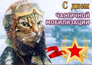 Create meme: cat pilot, cat pilot, on the day of defender