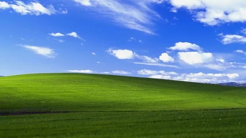 Create meme: field windose HP, Charles o'riere serenity, windows xp background