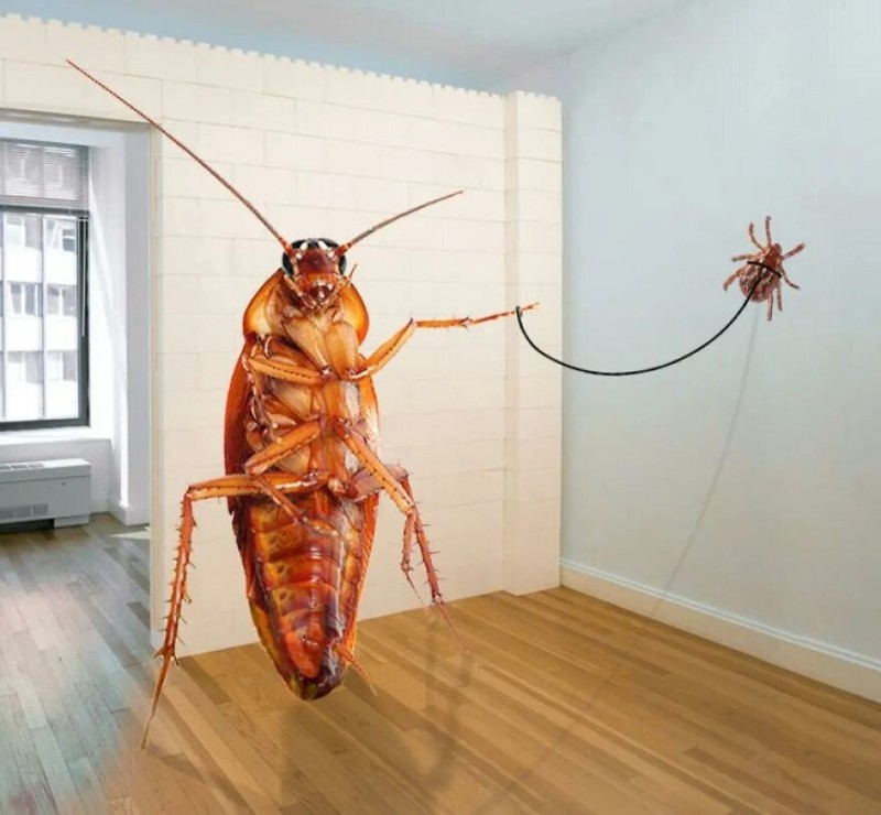 Create meme: to solve the problem, utilities , cockroach cockroach