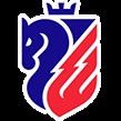 Create meme: the logo of the CSKA hockey, HC CSKA emblem, CSKA hockey emblem