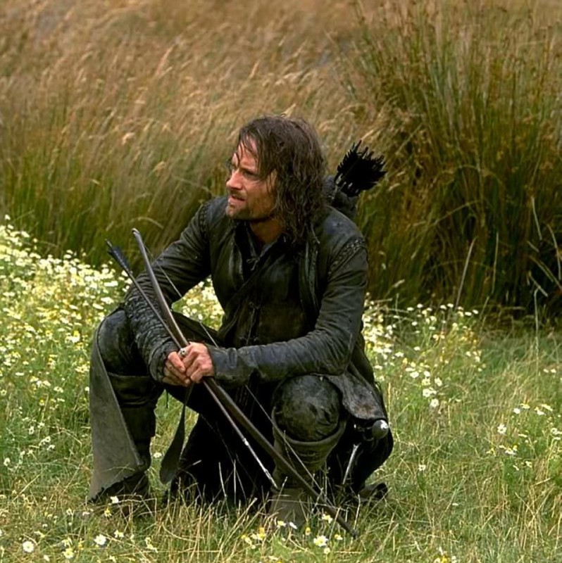 Create meme: Aragorn , the Lord of the rings Aragorn, Aragorn the wanderer