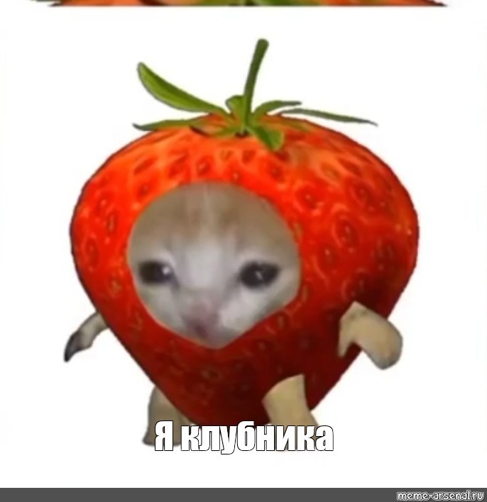 Создать мем: котики фрукты, клубника, клубника бомба