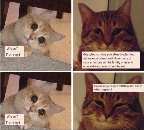 Create meme: memes about cats, an understanding cat, memes with cats 